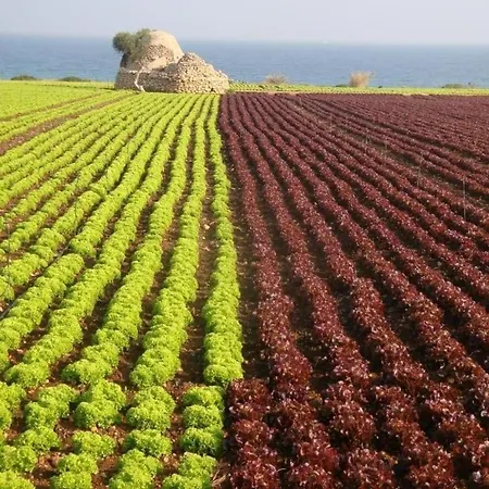 Vacanze Al San Domenico Maison d'hôtes