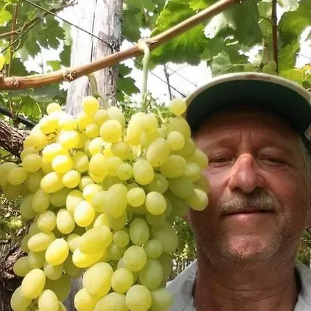 Vacanze Al San Domenico Maison d'hôtes Mola di Bari